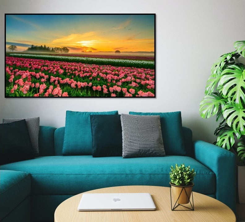 Morning Bloom II | Tulips