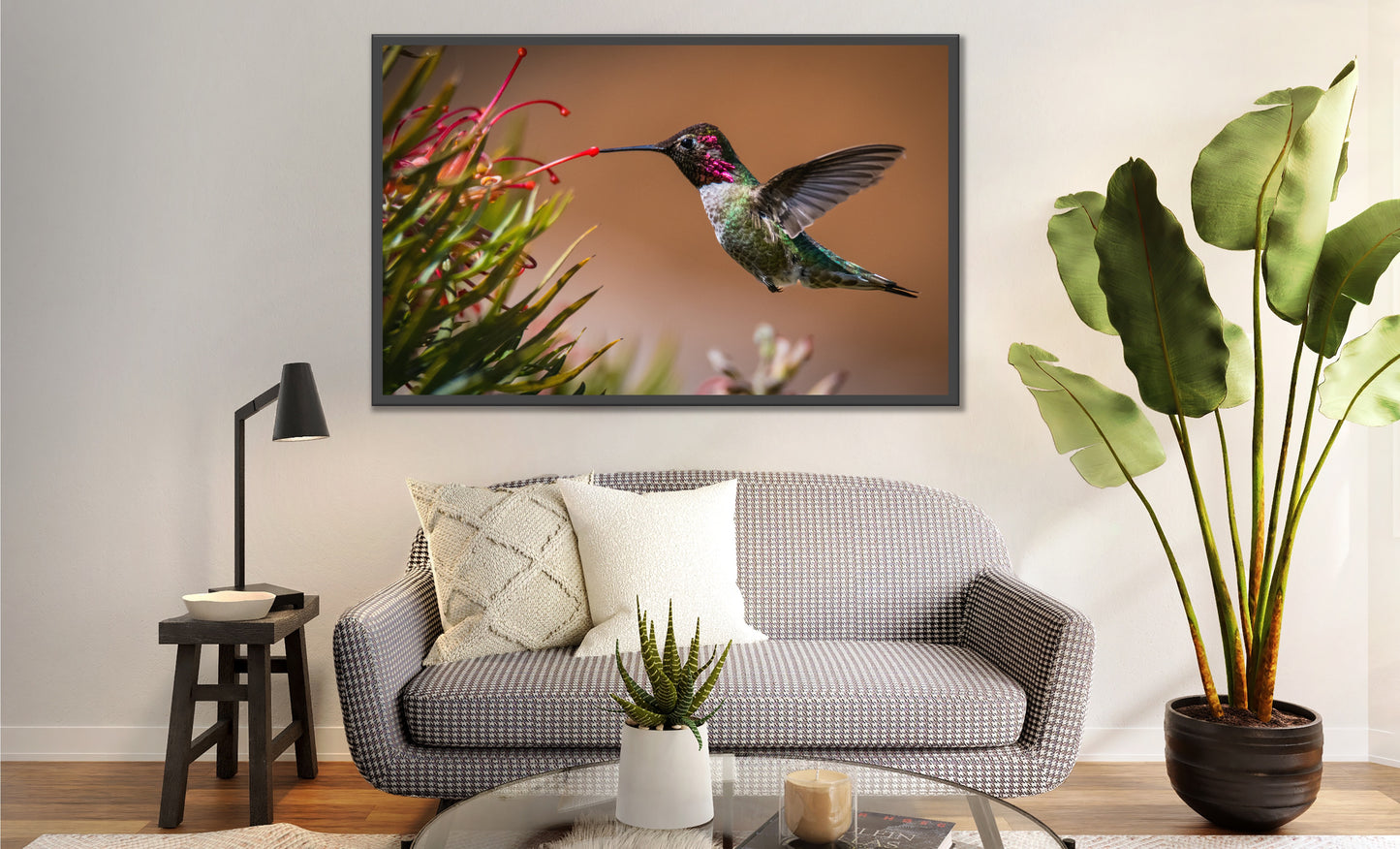 Swift & Graceful | Hummingbirds