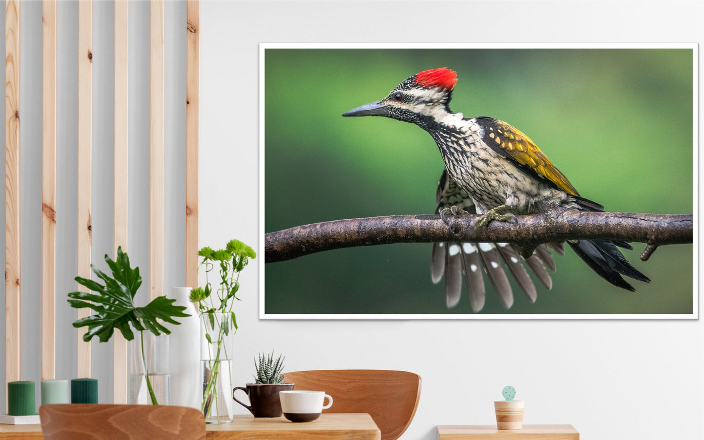 The Red-Headed Carver | WoodPecker Indian Forests