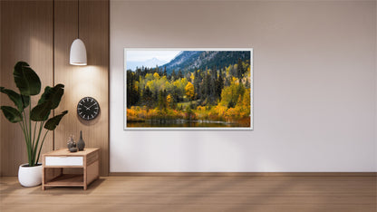 Golden Elegance | Fall Season