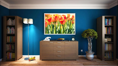 Petals of Happiness | Tulips