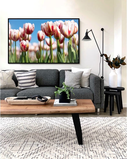 Petals of Happiness V | Tulips