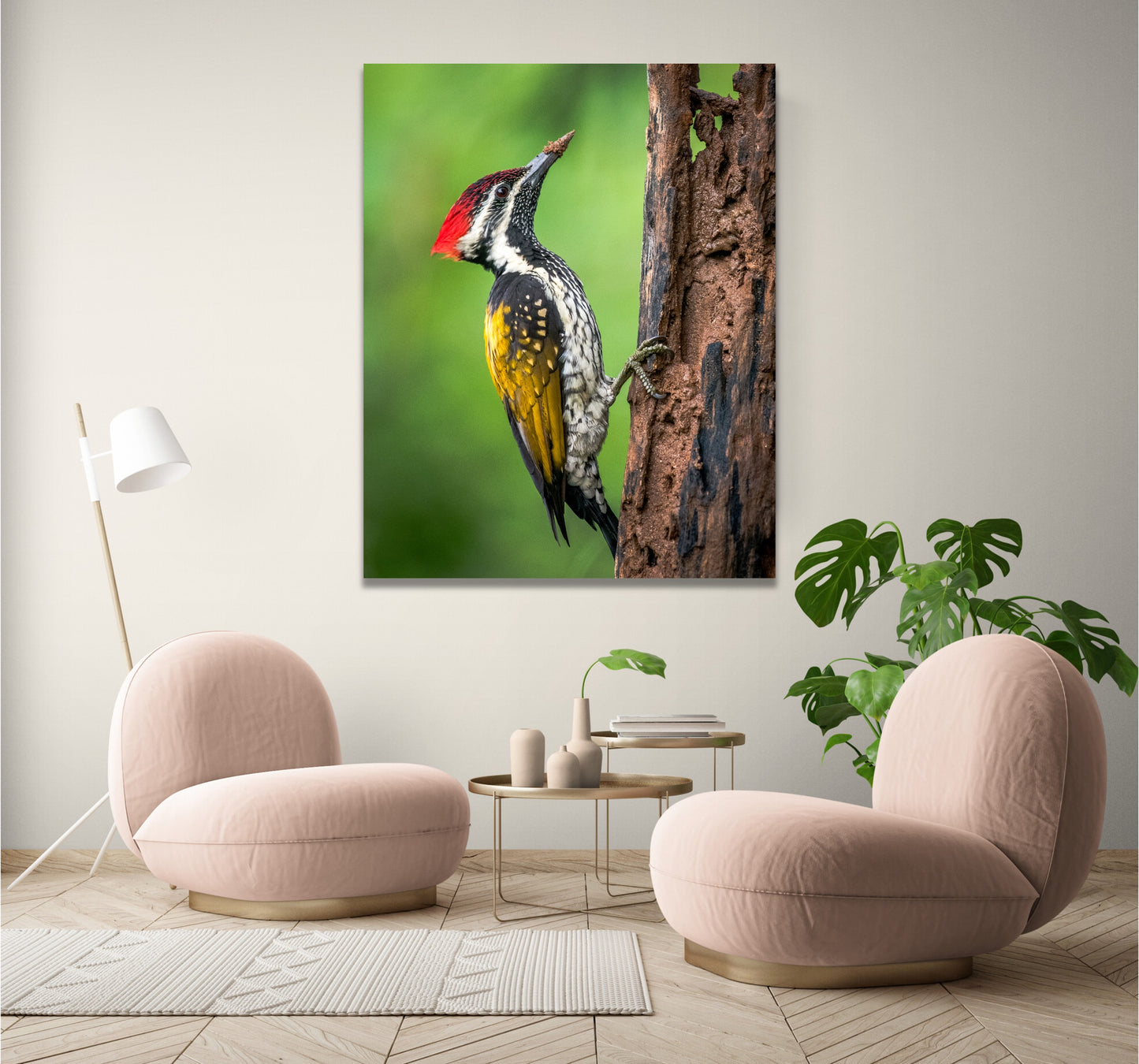 Nature's Carpenters | WoodPecker Indian Forests