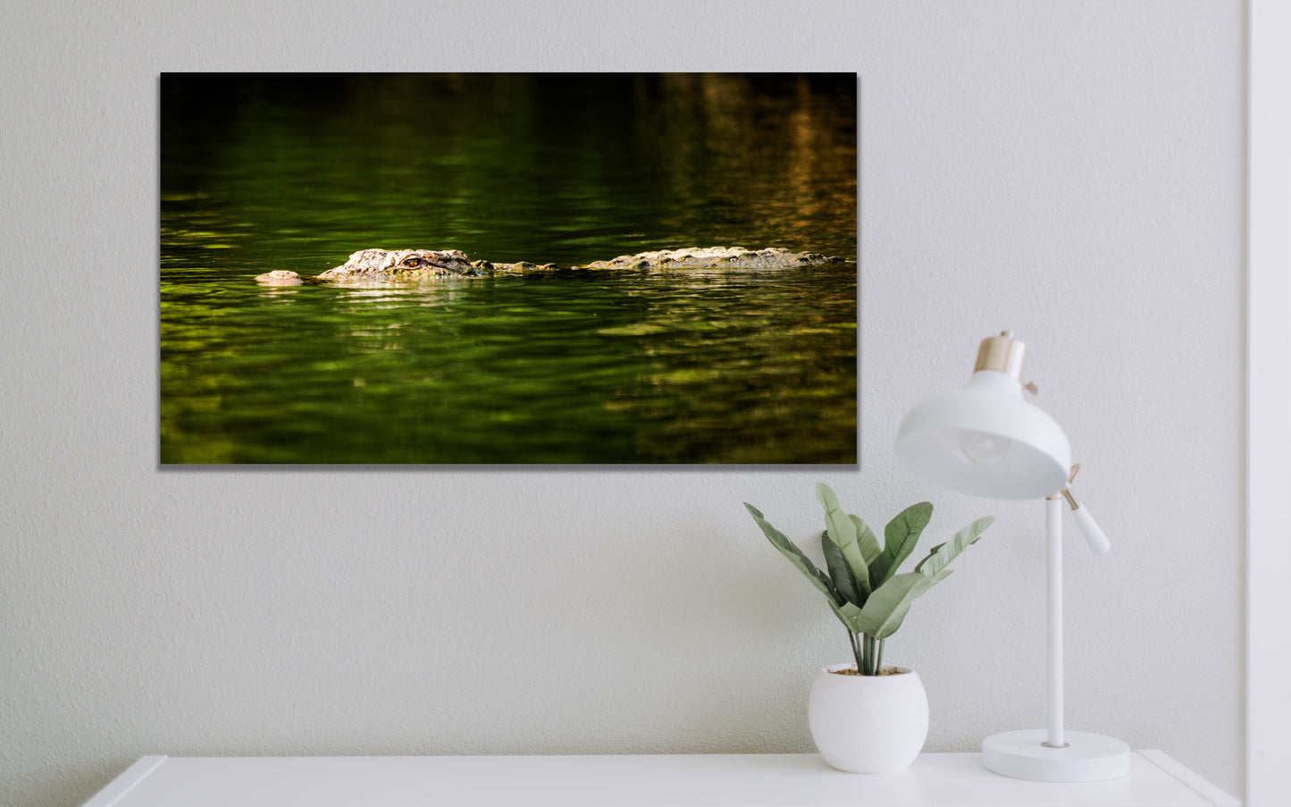 Cruising Croc | Indian wildlife